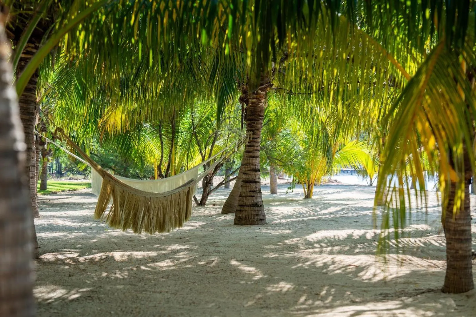 4Br Luxury Beachfront Apt W/ Heated Pool Isla Mujeres México